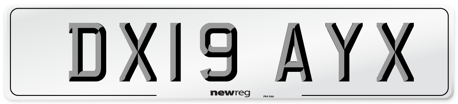 DX19 AYX Number Plate from New Reg